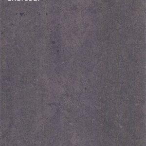 Jurassic Grey Porcelain