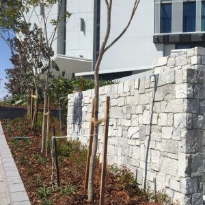 CZ Classic Dry Stack Random Cladding